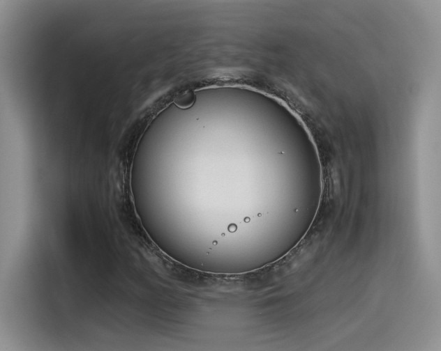 X0000115541158200911061454