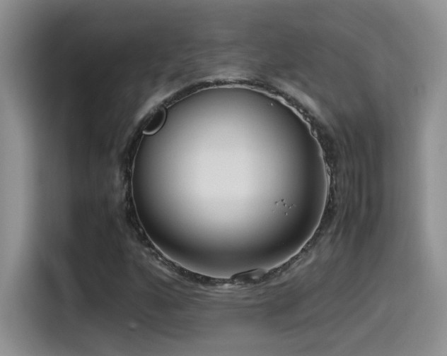 X0000115541160200911061454