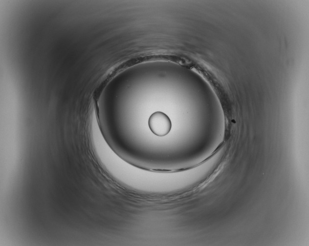 X0000115541161200911061454