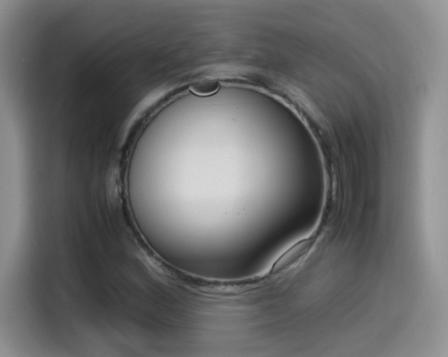 X0000115541164200911061454