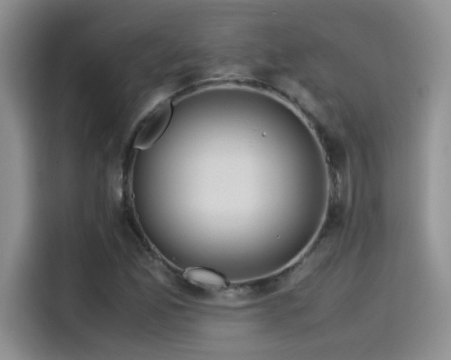 X0000115541165200911061454