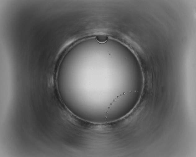 X0000115541166200911061454