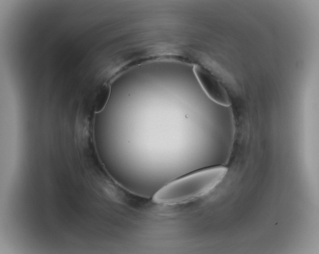 X0000115541169200911061454