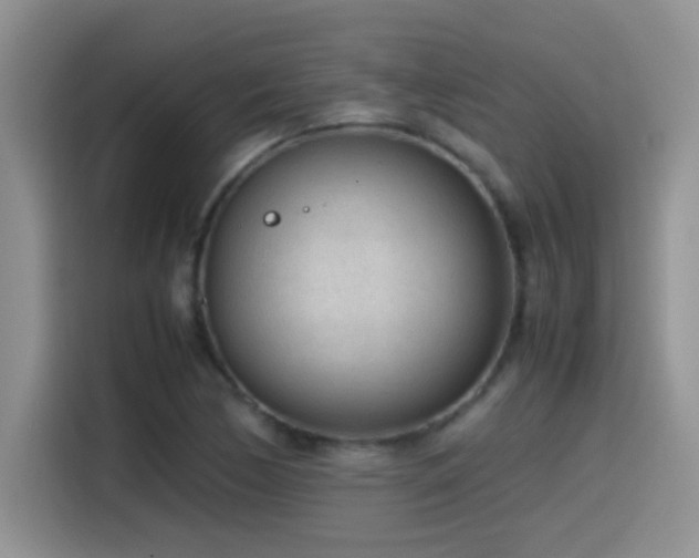 X0000115541170200911061454