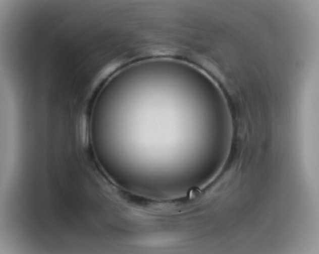 X0000115541171200911061454