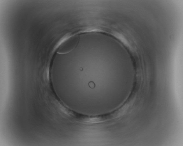 X0000115541173200911061454