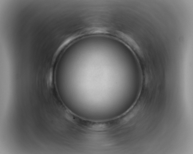 X0000115541174200911061454