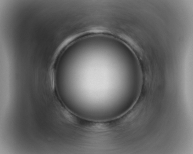 X0000115541175200911061454