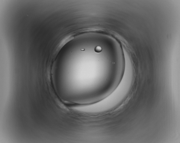 X0000115541177200911061454