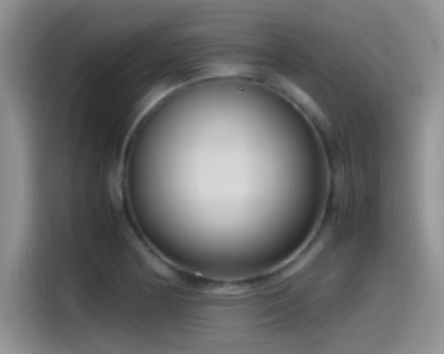 X0000115541178200911061454