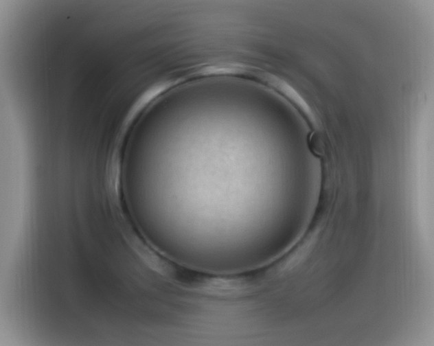 X0000115541179200911061454