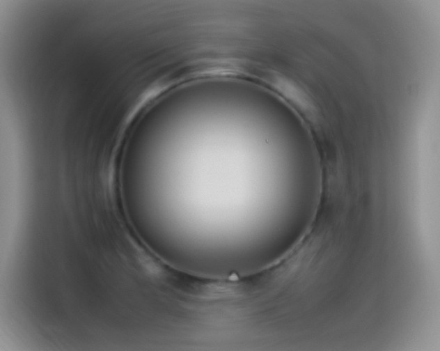 X0000115541181200911061454