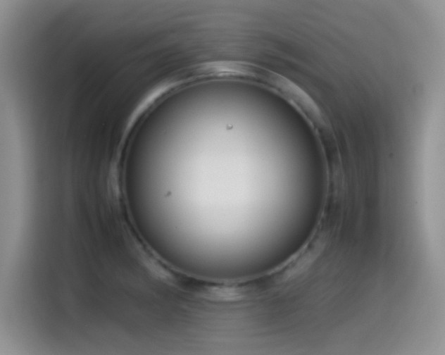 X0000115541182200911061454