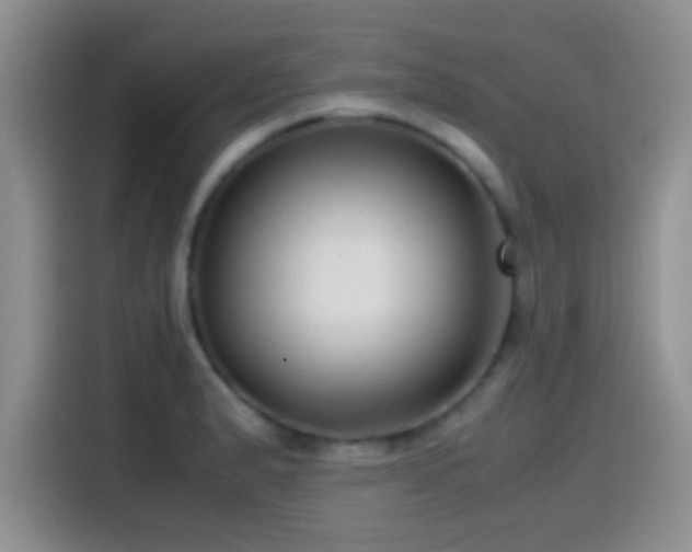 X0000115541183200911061454