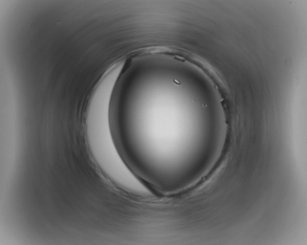 X0000115541185200911061454