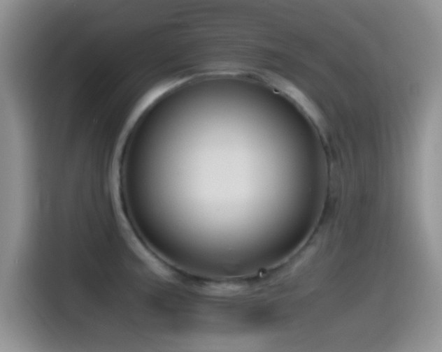 X0000115541187200911061454