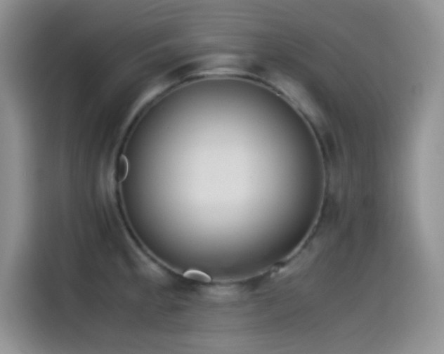 X0000115541189200911061454