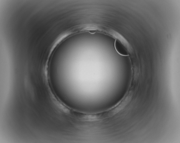 X0000115541190200911061454