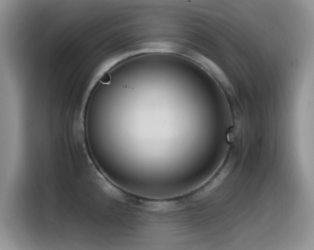 X0000115541192200911061454