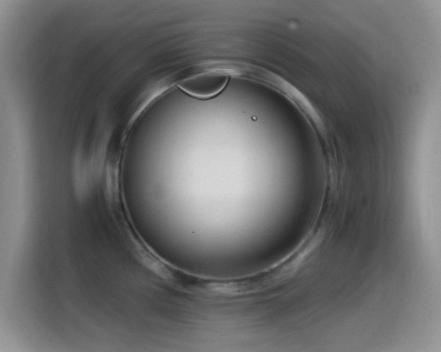 X0000115541194200911061454