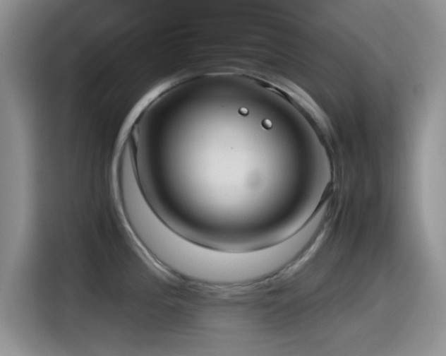 X0000115541196200911061454