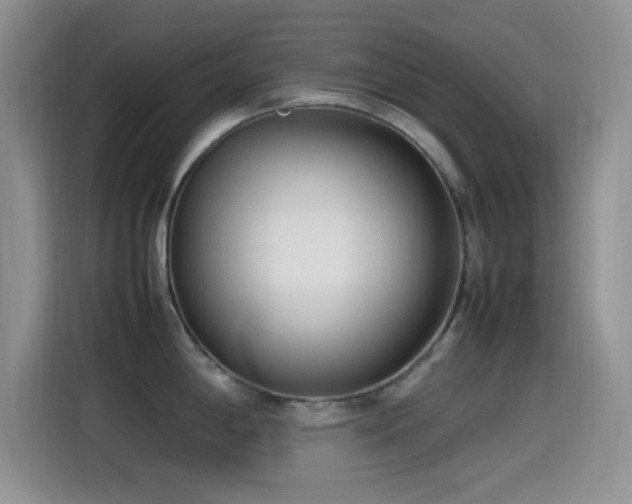 X0000115541198200911061454