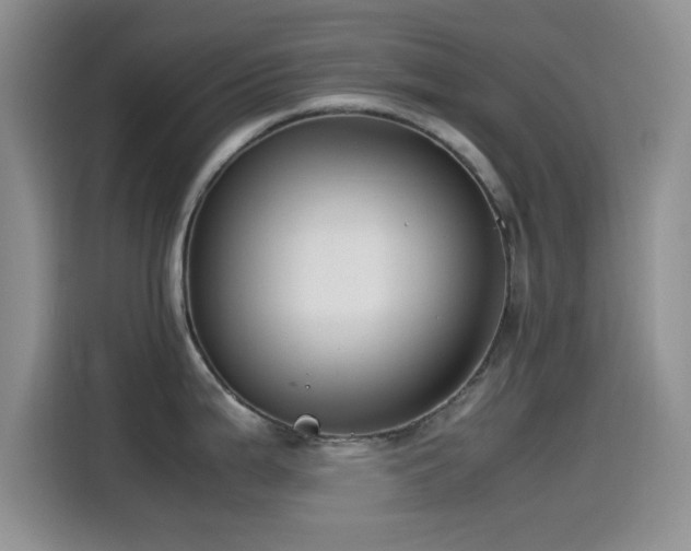 X0000115541199200911061454