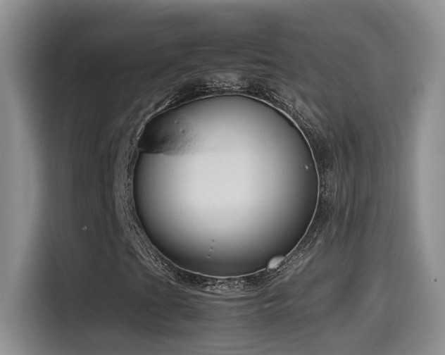 X0000115541201200911061453