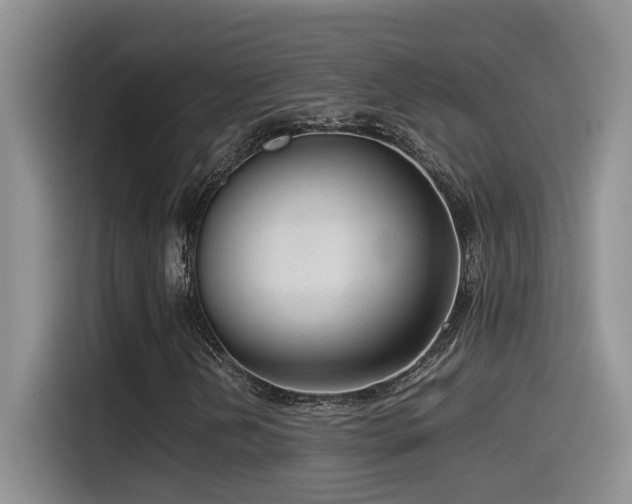 X0000115541202200911061453