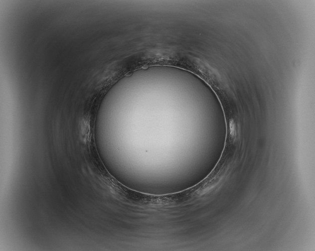 X0000115541203200911061453