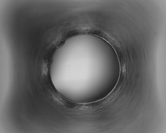 X0000115541204200911061453