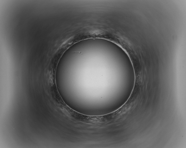 X0000115541205200911061453