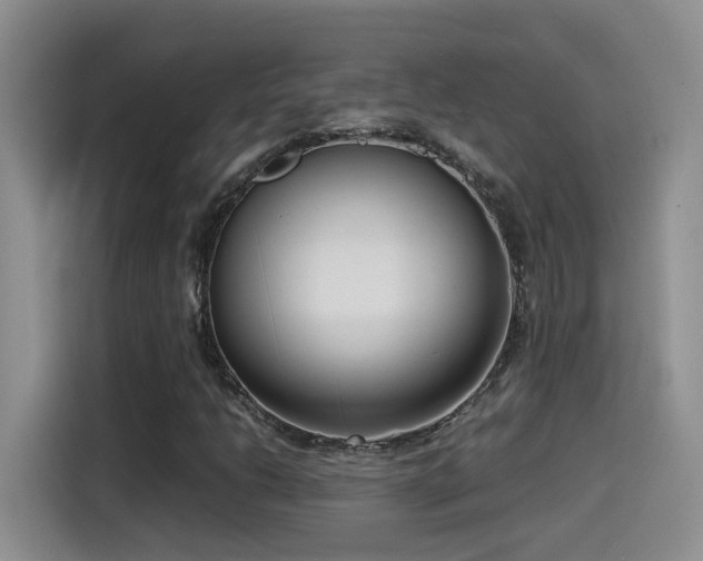 X0000115541206200911061453