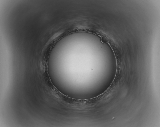 X0000115541207200911061453