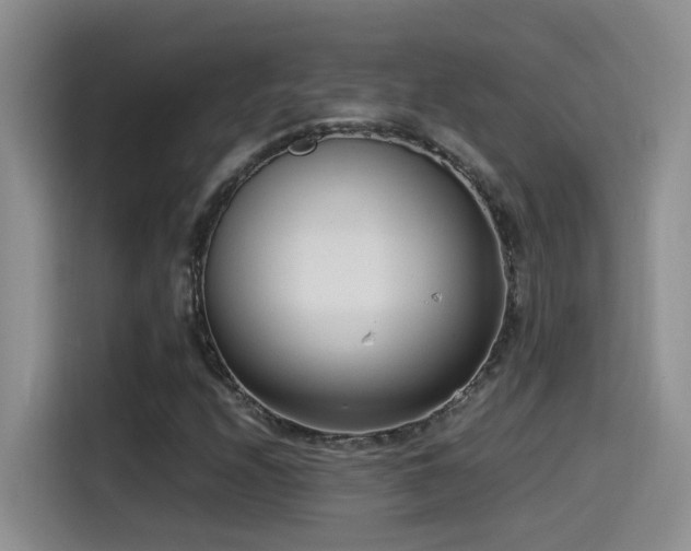 X0000115541208200911061453