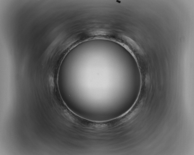 X0000115541209200911061453