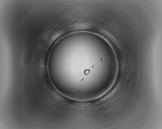 X0000115541210200911061453