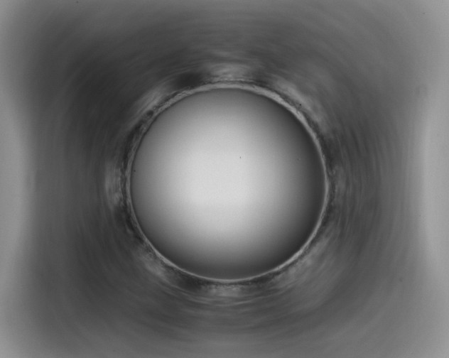 X0000115541211200911061453