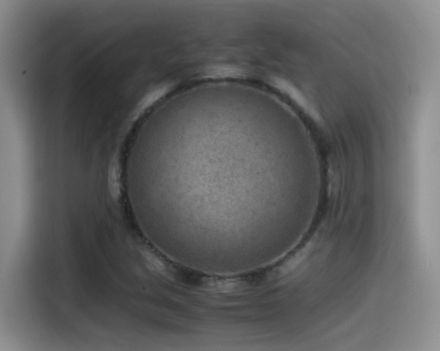 X0000115541213200911061453