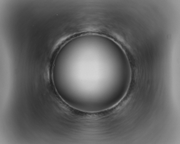 X0000115541214200911061453