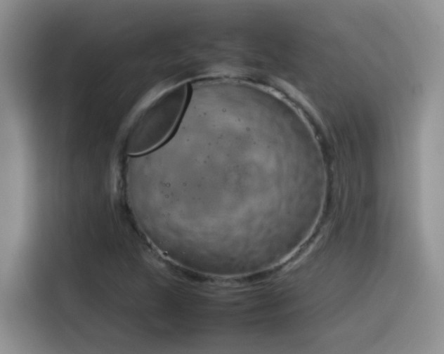 X0000115541215200911061453