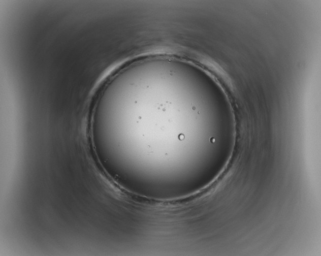 X0000115541216200911061453