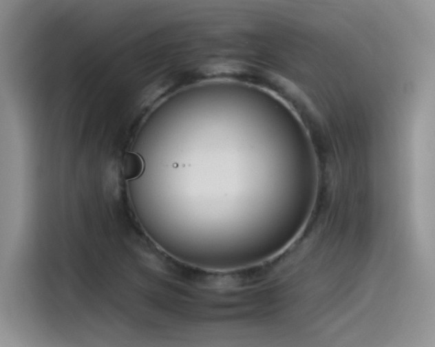 X0000115541217200911061453