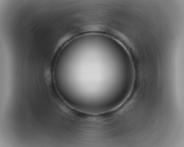 X0000115541218200911061453