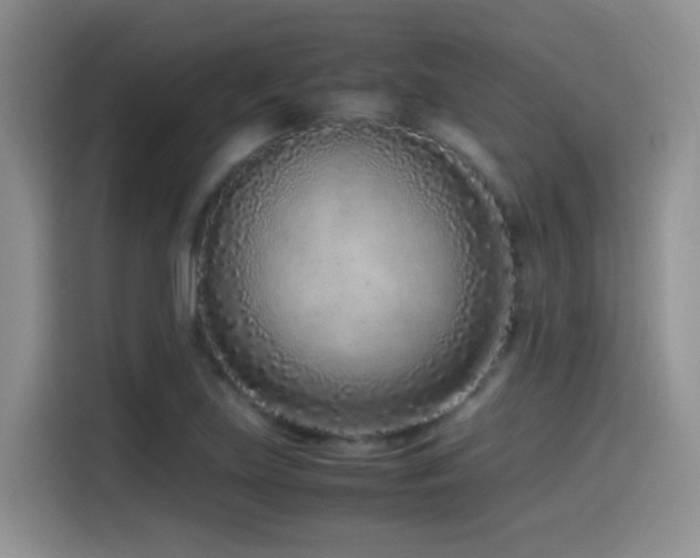 X0000115541219200911061453