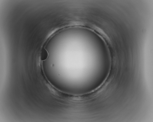 X0000115541220200911061453