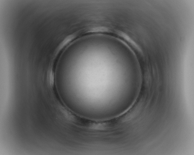 X0000115541221200911061453