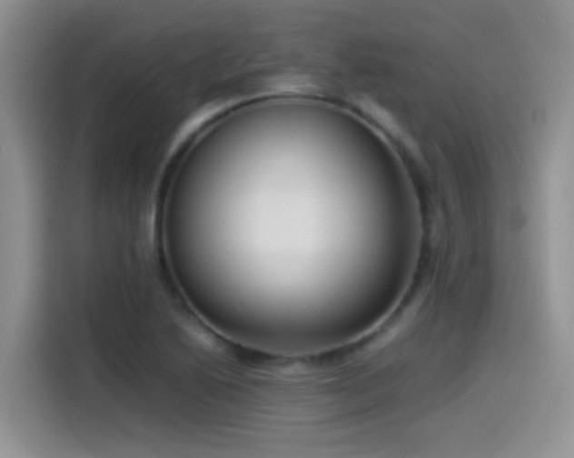 X0000115541222200911061453