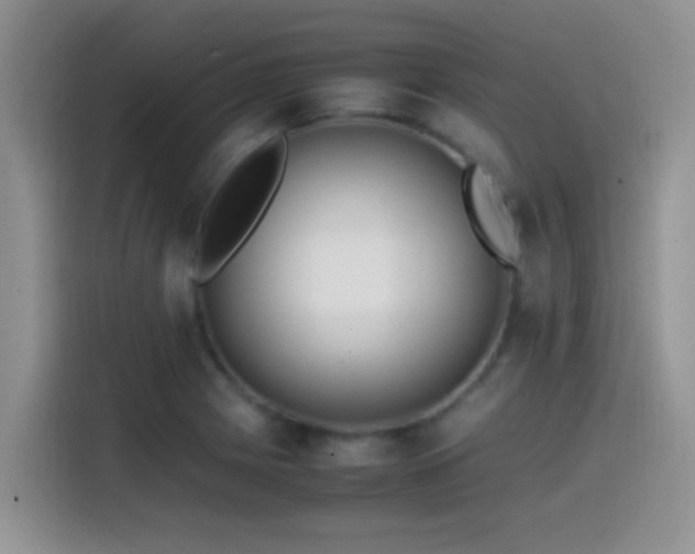 X0000115541225200911061453