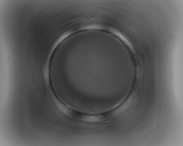 X0000115541229200911061453